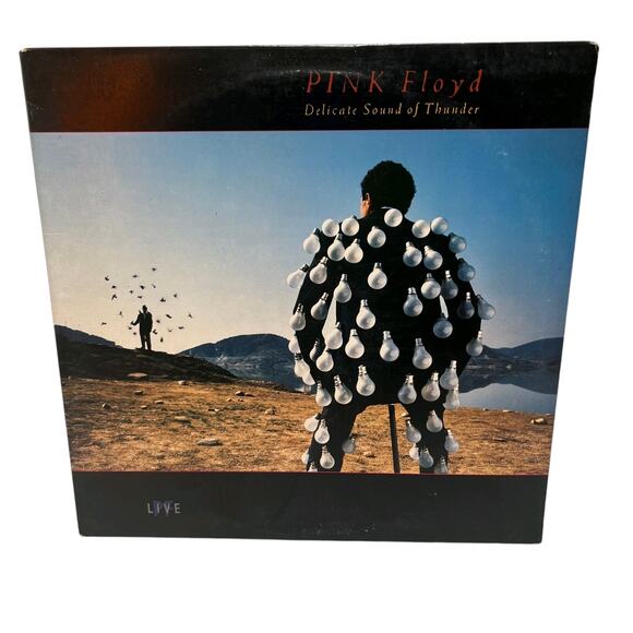 Pink Floyd Delicate Sound of Thunder Live Vintage Vinyl Double LP 1988 EX